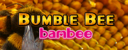chart_banner
